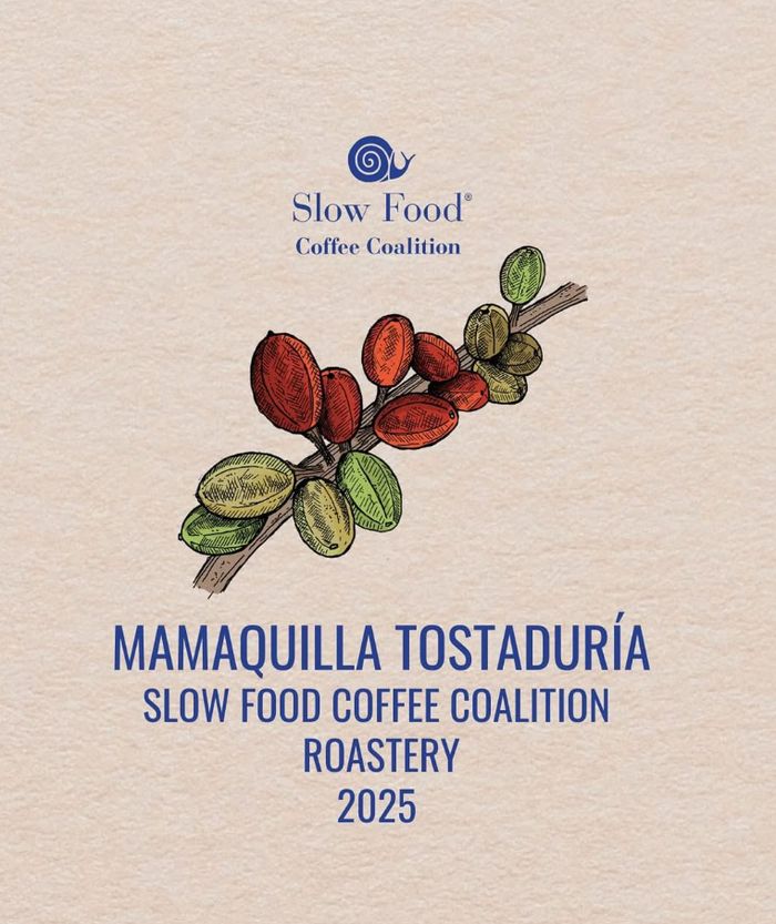 Reconocimiento Slow Food Coffee Coalition Roastery 2025